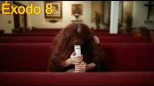 éxodo 8